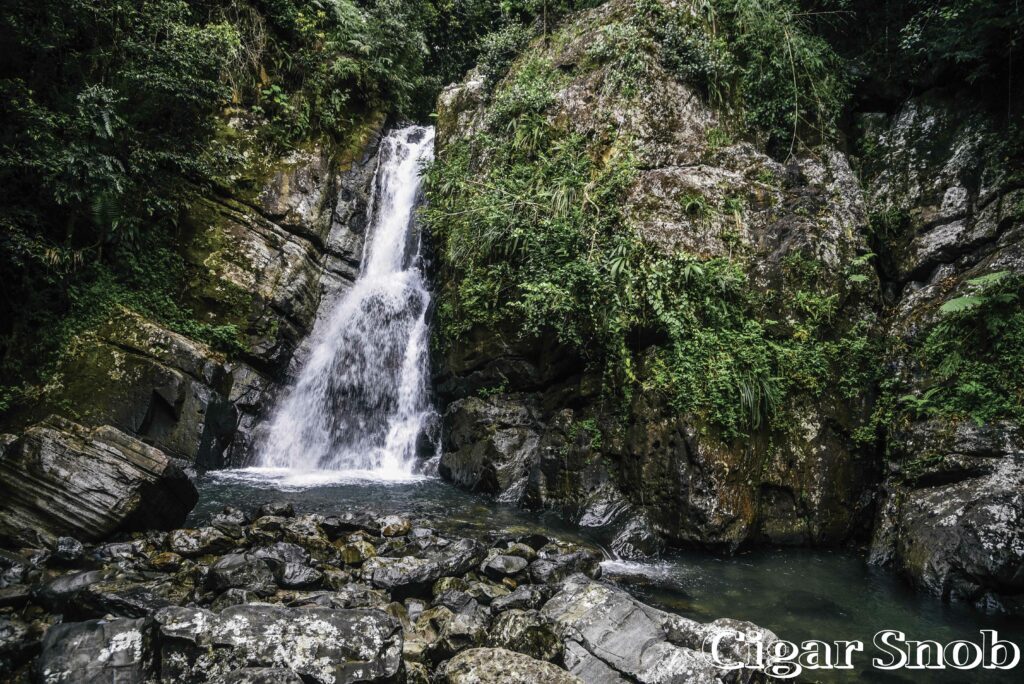 Enchanted - Puerto Rico 2 1 2 1