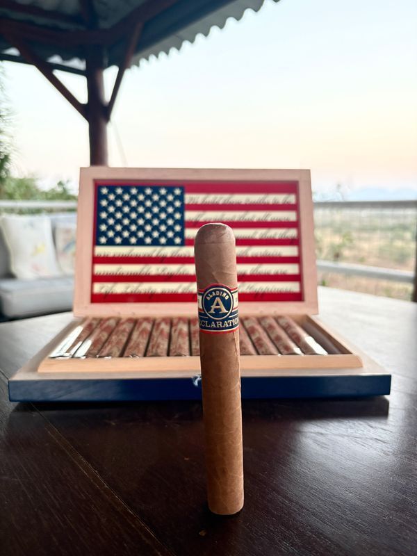 Aladino Declaration2