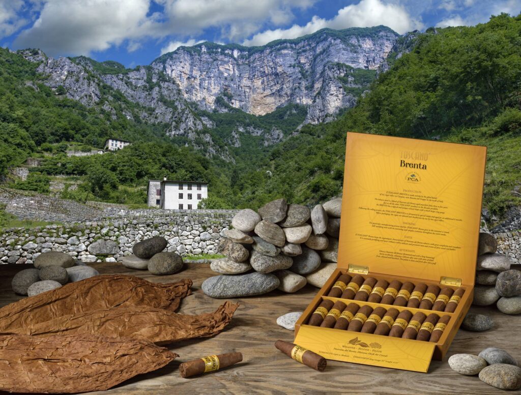 Toscano Brenta Cigars Return to the U.S. Market 1 Box BRENTA