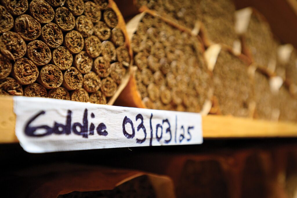 30 Years of El Titan de Bronze 5 DSC1414