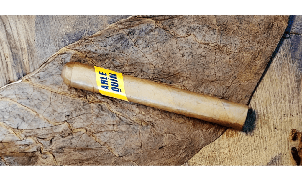 Arlequin Connecticut