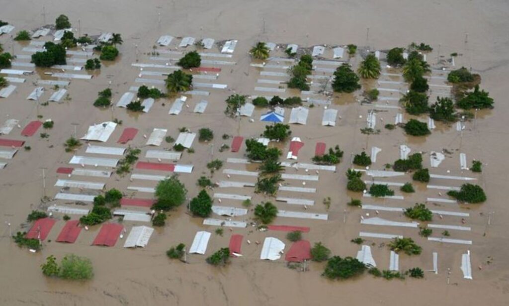 Cigars for Hope Sampler - Hurricane Eta & Iota Fundraising Initiative 1 Cigars for Hope