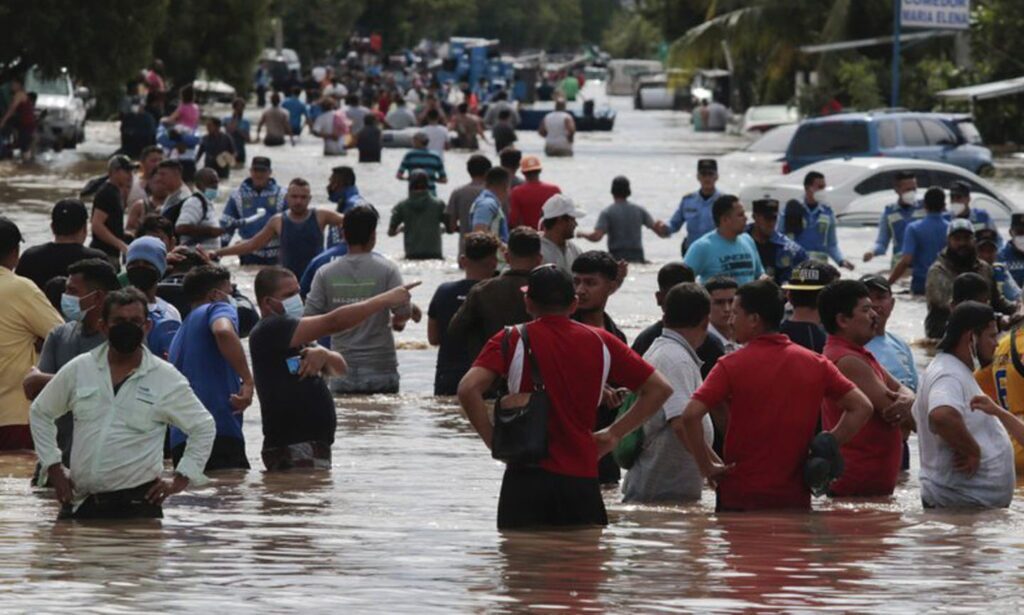 Cigars for Hope Sampler - Hurricane Eta & Iota Fundraising Initiative 2 Hurricane 2