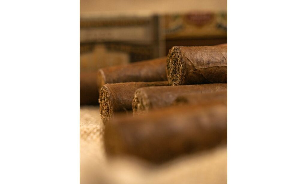 The American cigars 9