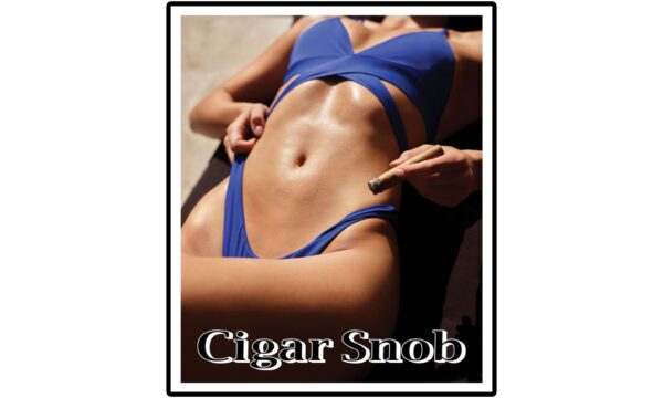 Swim Suit Series:  ABS-tract Sticker