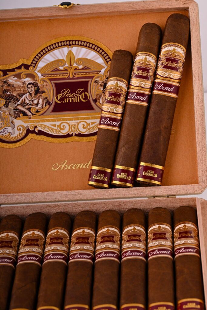 Casa Carrillo Introduces Ascend at 2026 PCA 2 unnamed 1 73