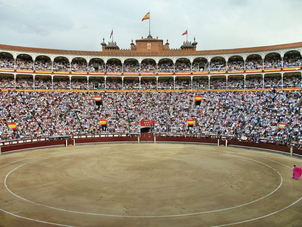 Meat of the Fighting Bull: A Spanish Tradition Revived 1 AdobeStock 58596189